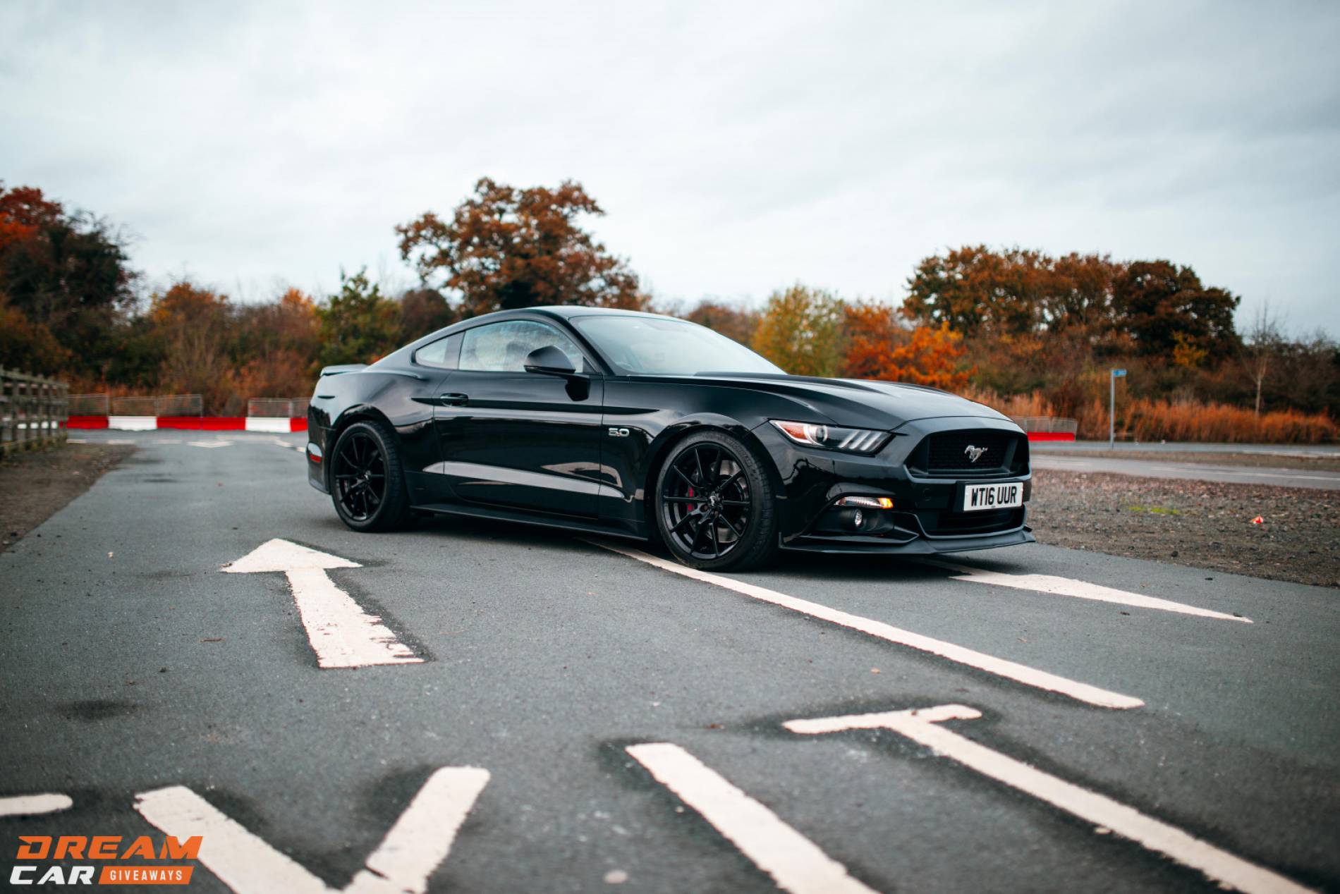 780BHP Ford Mustang & £2000 or £30,000 Tax Free