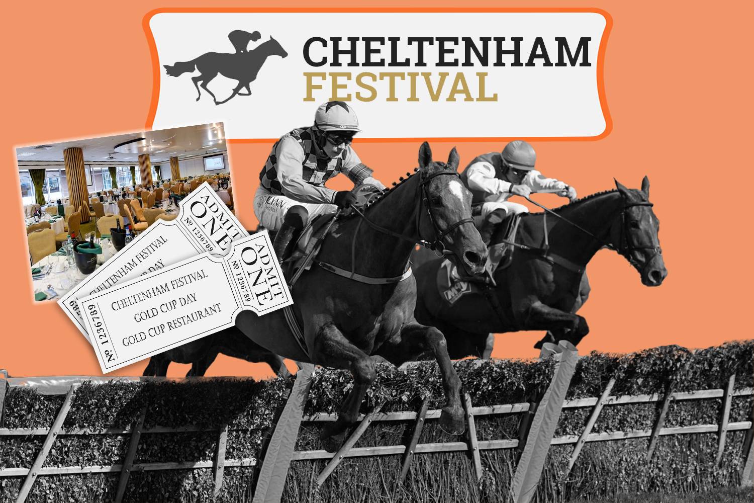 Win 2x tickets for Cheltenham Races - Gold Cup Hospitality