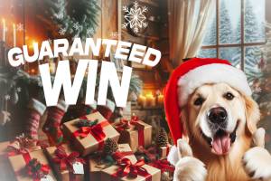 Guaranteed Win - 5000 Instant Win CHRISTMAS Prizes